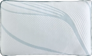 Picture of Queen Adapt ProAdjust Pillow