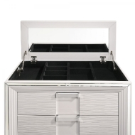 Picture of Twenty Nine White Chest