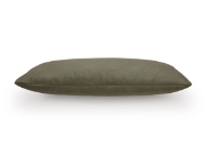 Picture of Danville Green Accent Pillow